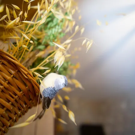 Mimax Διαμέρισμα